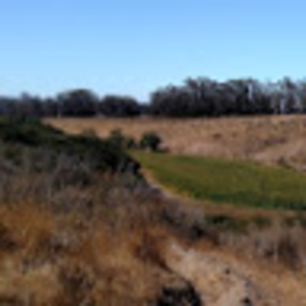 Meet your Posher, Jeffery